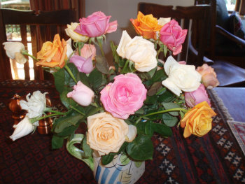 roses in vase(copy)(copy)